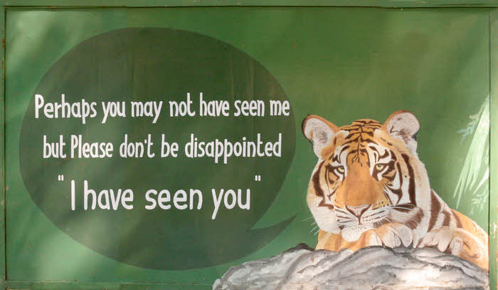 Goodbye tiger at Bandhavgarh